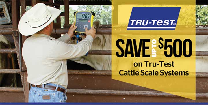Tru-Test Cattle Scale Sale