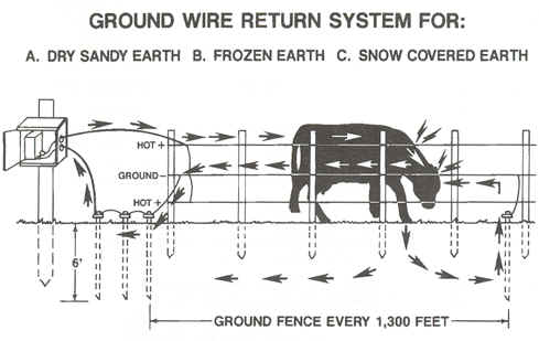 Ground Rods and electric Fence Charger Questions?