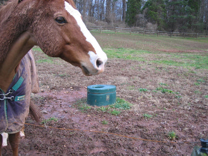 products/2008_pics_053