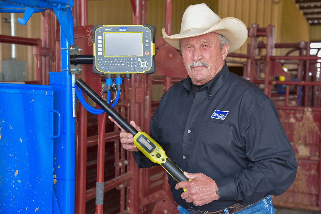 Monitoring Cattle Weight with Livestock Scales