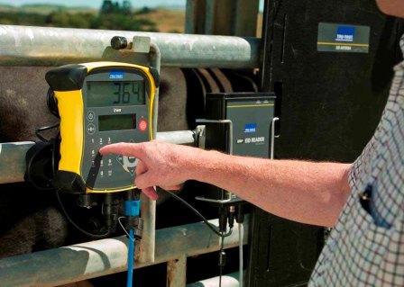 Investing in a Permanent Cattle Scale System