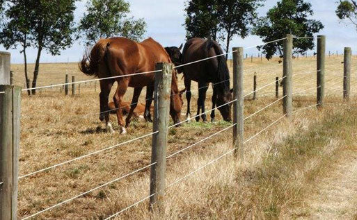 The top 2 electric fence chargers for your farm