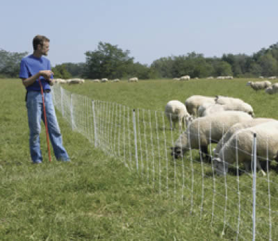 Question about electric poultry netting