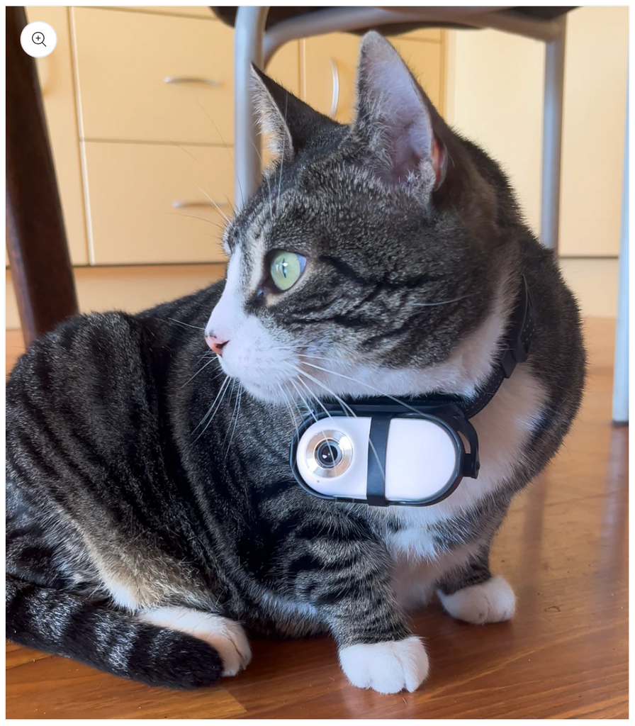 Discover Your Pet’s Secret World with CatCamPro™