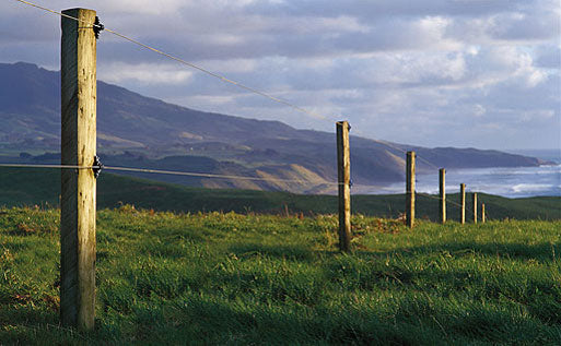 Estimated Costs for Livestock Fencing
