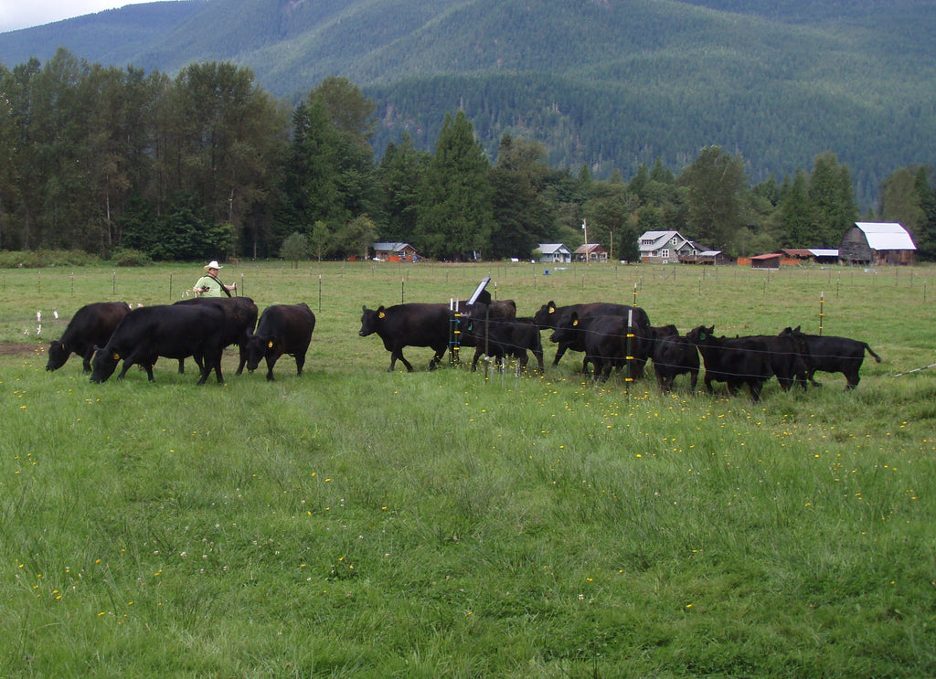 Use a Drone on your farm to check fence and livestock!