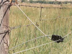 Livestock Fencing Types and Considerations / Electric Fence Store