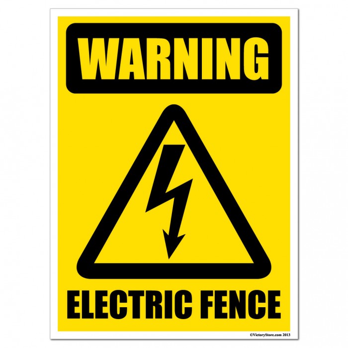 Lightning protection on electric fence controllers / energizers