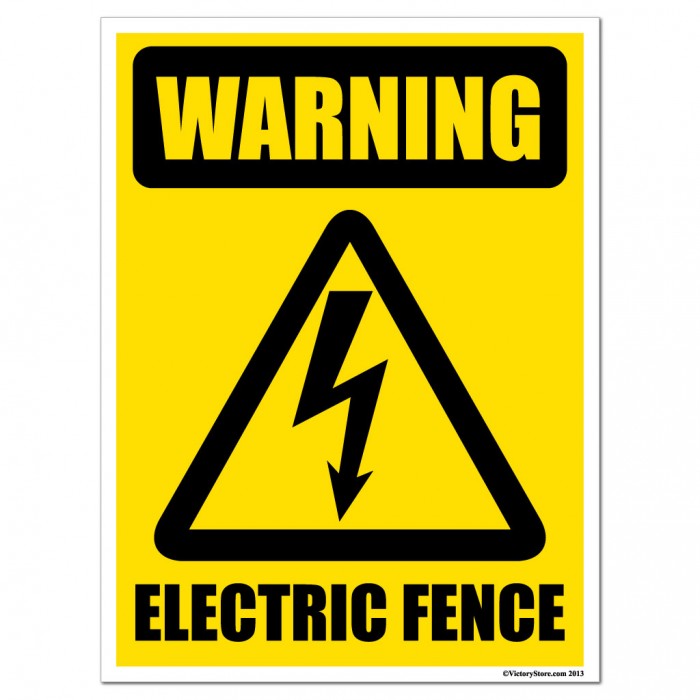 Lightning protection on electric fence controllers / energizers