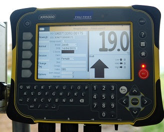 Tru-Test XR5000 Livestock Scale Indicator  operating n cattle farm barnyard